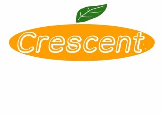 No.793 Crescent Ⱦµ/Ĺµ ߸ˤ(T/åȥ/Ѹ/ѻ///ߤ/İ)