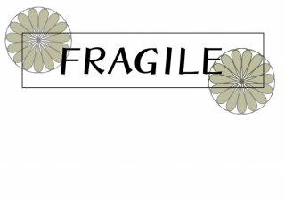 No.882 FRAGILER Ⱦµ/Ĺµ ߸ˤ(T/åȥ/Ѹ/ѻ/֥å///֤Ӥ)