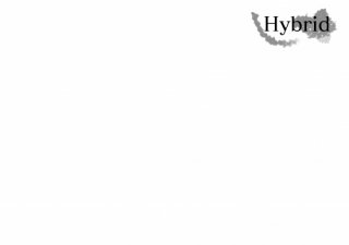 No.891 Hybrid A Ⱦµ/Ĺµ ߸ˤ(T/åȥ/Ѹ/ѻ/졼//ݥ/ץ)