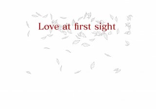 No.907 Love at first sight Ⱦµ/Ĺµ ߸ˤ(T/åȥ/Ѹ/ѻ/å///꡼)