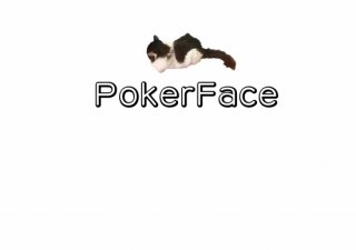No.922 PokerFace Ⱦµ/Ĺµ ߸ˤ(T/åȥ/̿/ǭ/ͥ/ưʪ/İ/塼)
