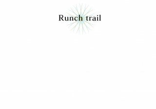 No.932 Runch trail Ⱦµ/Ĺµ ߸ˤ(T/åȥ/Ѹ/ѻ//ץ/å)