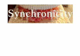 No.946 Synchronicity Ⱦµ/Ĺµ ߸ˤ(T/åȥ/Ѹ/ѻ//̿/ڤ䤫/İ)