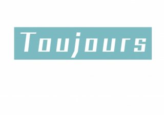 No.954 Toujours Ⱦµ/Ĺµ ߸ˤ(T/åȥ/Ѹ/ѻ/֥롼//ܥå/ץ/)