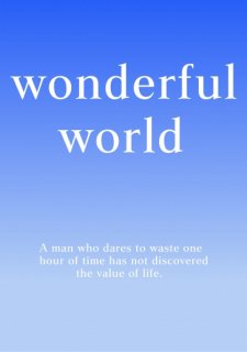 No.967 Wonderful world Ⱦµ/Ĺµ ߸ˤ (T/åȥ/֥롼//ǡ/ץ/)