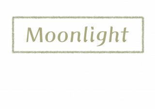 No.979 Moonlight gold Ⱦµ/Ĺµ ߸ˤ(T/åȥ///ץ/奢)