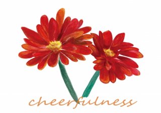 No.996 cheerfulness Ⱦµ/Ĺµ ߸ˤ (T/åȥ///ڤ䤫/İ/̲/饹)