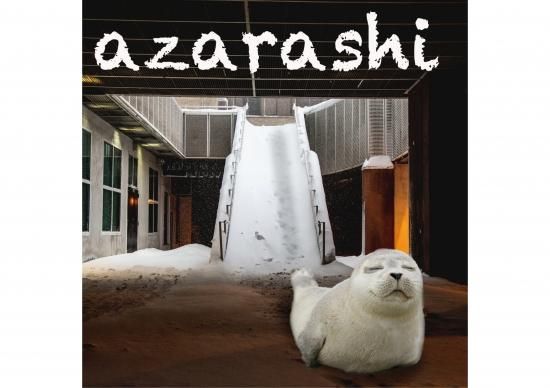 No 1095 Azarashi 半袖 長袖 在庫あり ロンt カットソー 写真 アザラシ 可愛い 雪 動物 シュール ｔシャツ総合専門店 日本tシャツセンター