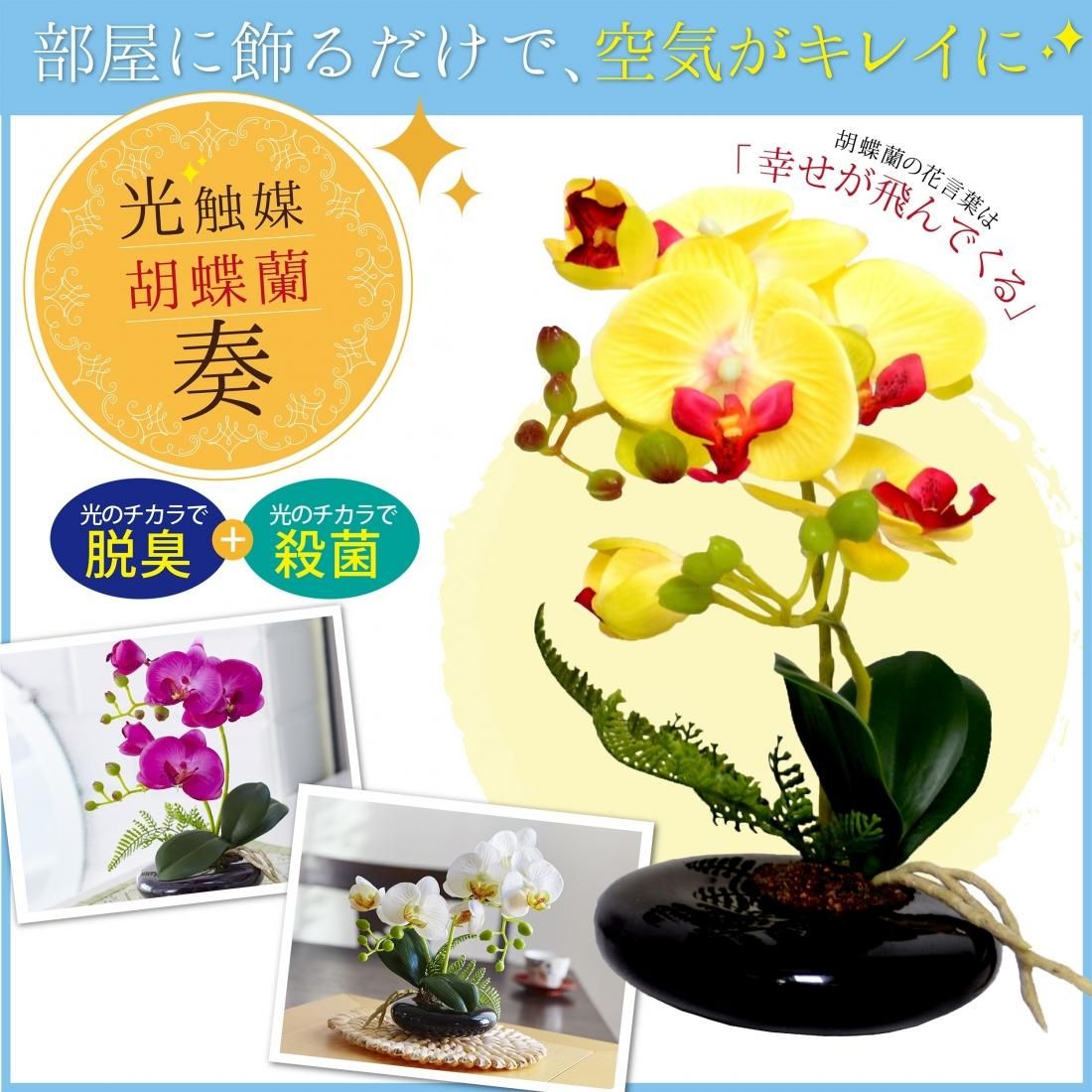 光触媒 光の楽園プレミアム胡蝶蘭7本立P【アートフラワー 造花