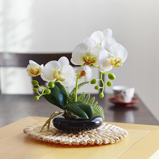 光触媒 卓上型胡蝶蘭（奏） - サンワイ商事