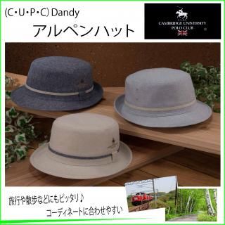 <img class='new_mark_img1' src='https://img.shop-pro.jp/img/new/icons1.gif' style='border:none;display:inline;margin:0px;padding:0px;width:auto;' />ʣãգУáDandyڥϥå