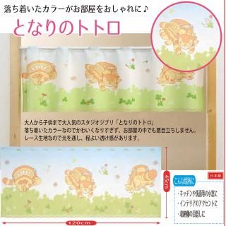 <img class='new_mark_img1' src='https://img.shop-pro.jp/img/new/icons1.gif' style='border:none;display:inline;margin:0px;padding:0px;width:auto;' />֥ꡡȤʤΥȥȥեƥʿΤ