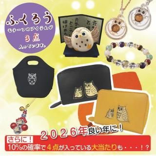 <img class='new_mark_img1' src='https://img.shop-pro.jp/img/new/icons1.gif' style='border:none;display:inline;margin:0px;padding:0px;width:auto;' />դäѤʡޡʣ