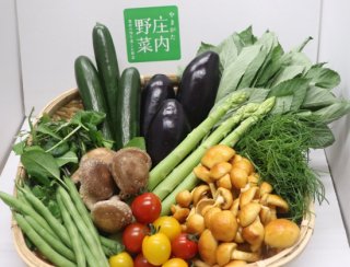 庄内野菜セット　6種