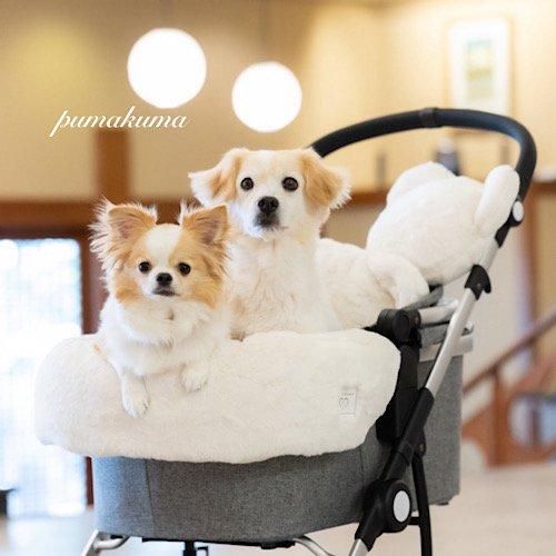 <img class='new_mark_img1' src='https://img.shop-pro.jp/img/new/icons13.gif' style='border:none;display:inline;margin:0px;padding:0px;width:auto;' />puma kuma