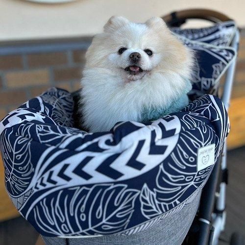 <img class='new_mark_img1' src='https://img.shop-pro.jp/img/new/icons13.gif' style='border:none;display:inline;margin:0px;padding:0px;width:auto;' />Hawaiiaroha-