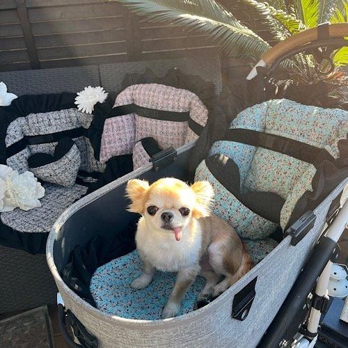 <img class='new_mark_img1' src='https://img.shop-pro.jp/img/new/icons13.gif' style='border:none;display:inline;margin:0px;padding:0px;width:auto;' />tweedʡåޥåȥå
