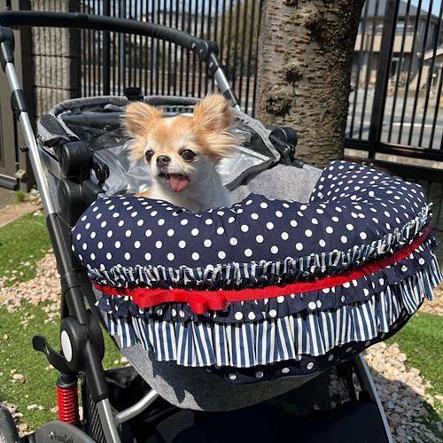 <img class='new_mark_img1' src='https://img.shop-pro.jp/img/new/icons13.gif' style='border:none;display:inline;margin:0px;padding:0px;width:auto;' />petitץƥ꡼MiMi