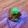 HIKARI MINERALS