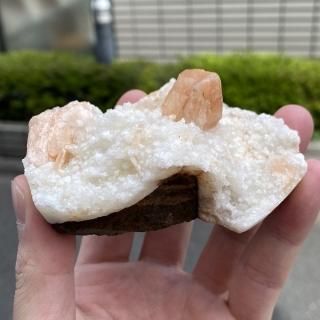 <img class='new_mark_img1' src='https://img.shop-pro.jp/img/new/icons1.gif' style='border:none;display:inline;margin:0px;padding:0px;width:auto;' />ƥХ   60mm x 80mm x 35mm [OK051]