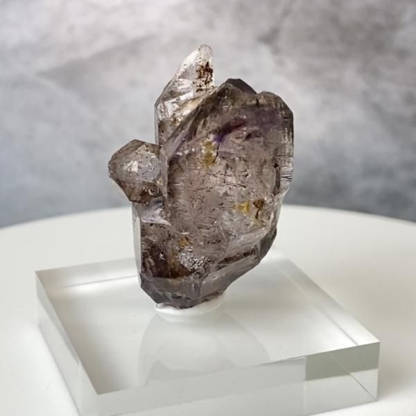 これのおかげで思わぬ喜びが！ご利益あるすっごいタイガールチルとスーパーセブンたん Don! Kan! Boy!（通常盤） – Tokyo 7th Sisters Official Online