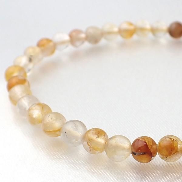 ゴールデンヒーラー - ヒカリカンパニー公式WEBショップ