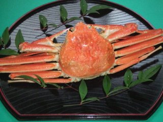 冷凍ボイルズワイ蟹　(約500g )