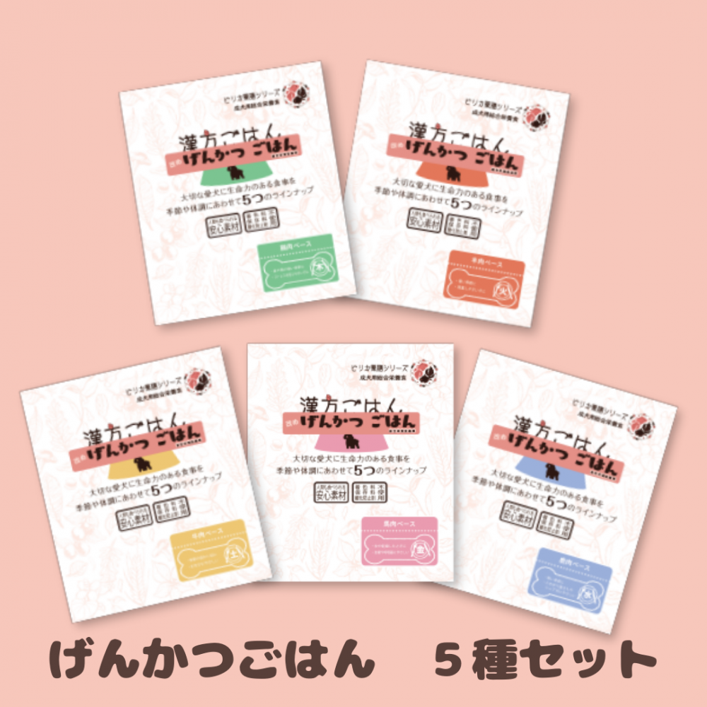 <img class='new_mark_img1' src='https://img.shop-pro.jp/img/new/icons29.gif' style='border:none;display:inline;margin:0px;padding:0px;width:auto;' />ڤåȡ۴Ϥᤲ󤫤ĤϤȥȣ1