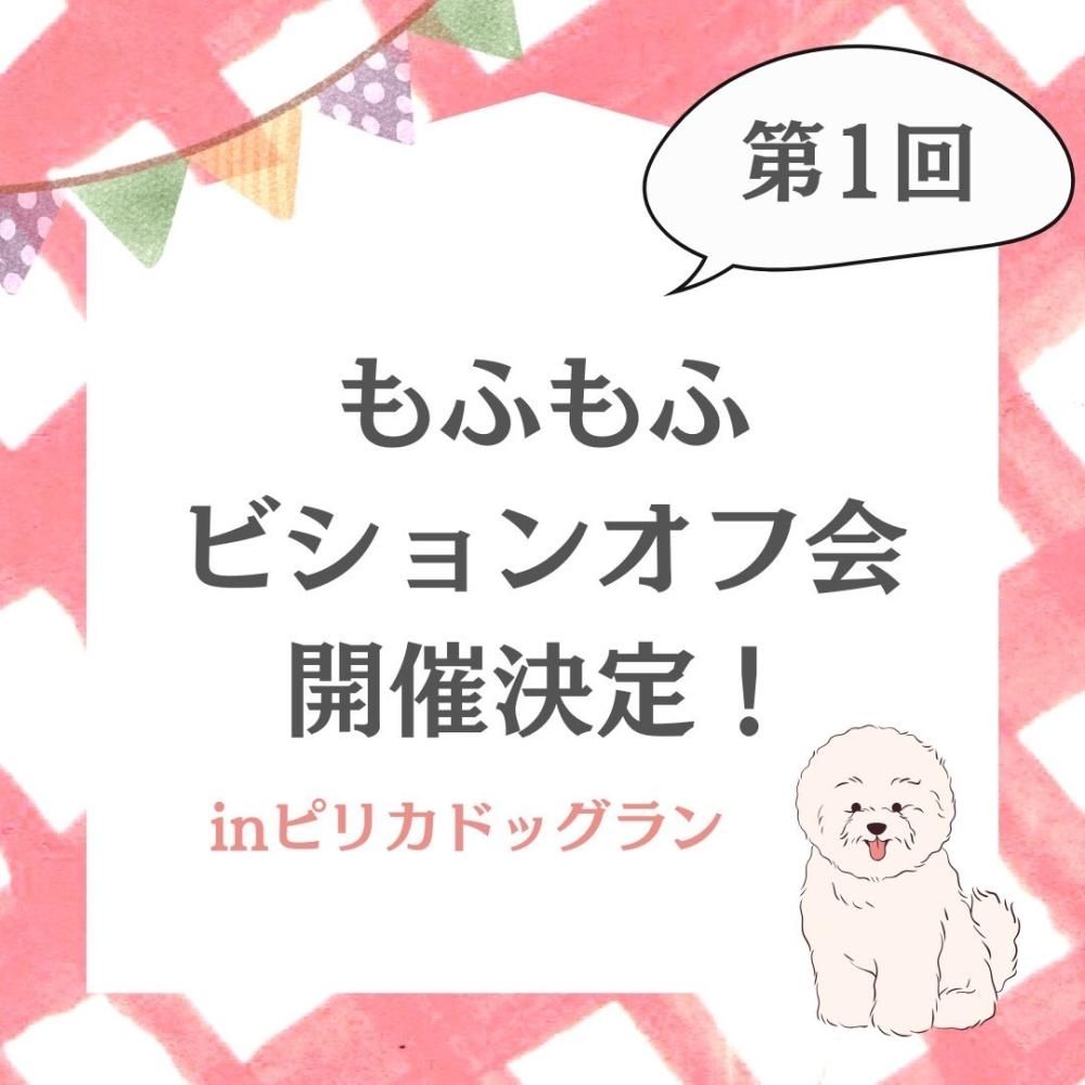 ڹɾΤ˽λۤդեӥ󥪥ղ񡪡
