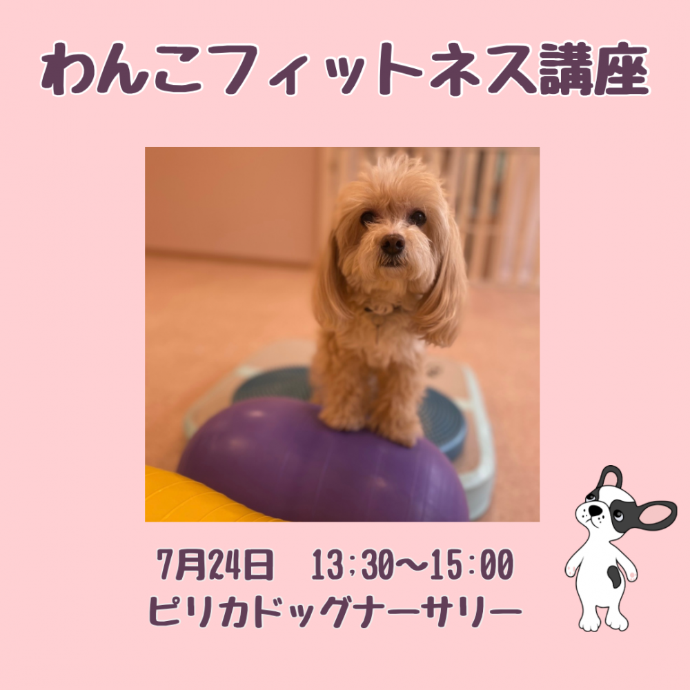<img class='new_mark_img1' src='https://img.shop-pro.jp/img/new/icons25.gif' style='border:none;display:inline;margin:0px;padding:0px;width:auto;' />724ʿ˥ԥꥫɥåʡ꡼󤳥եåȥֺͥ