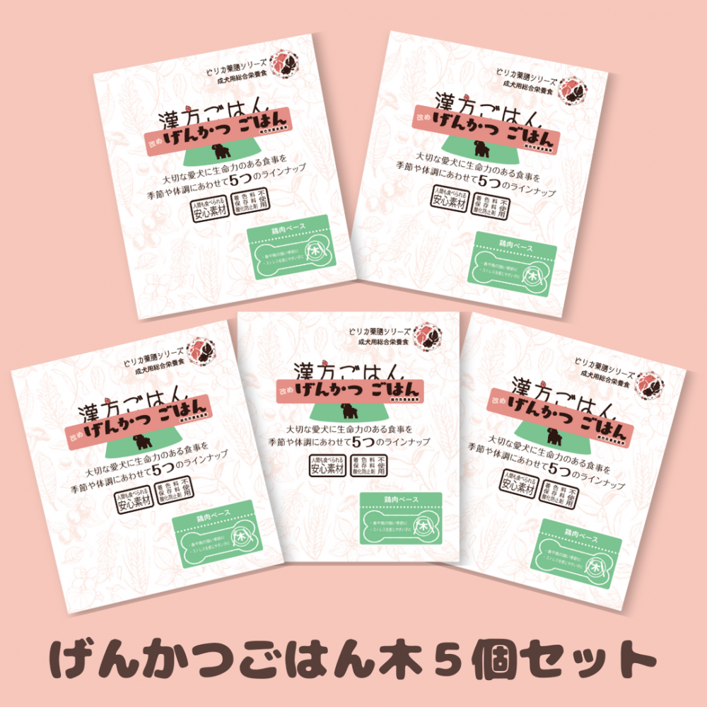 <img class='new_mark_img1' src='https://img.shop-pro.jp/img/new/icons29.gif' style='border:none;display:inline;margin:0px;padding:0px;width:auto;' />ڤåȡ۴Ϥᤲ󤫤ĤϤȥȣĥå