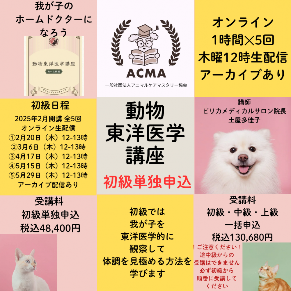 220֡ưʪΰعֺ ñȿۥ˥ޥ륱ޥ꡼