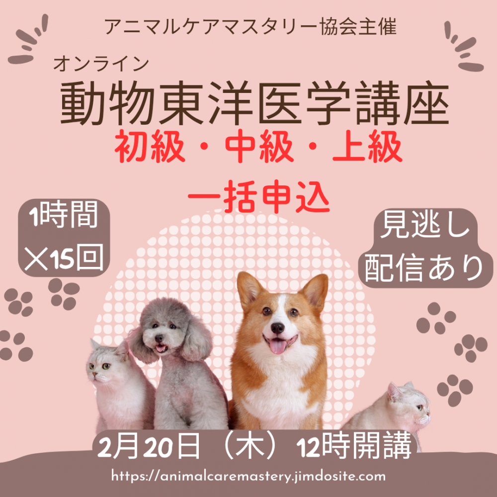 220֡ưʪΰعֺ 顦顦 翽ߡۥ˥ޥ륱ޥ꡼