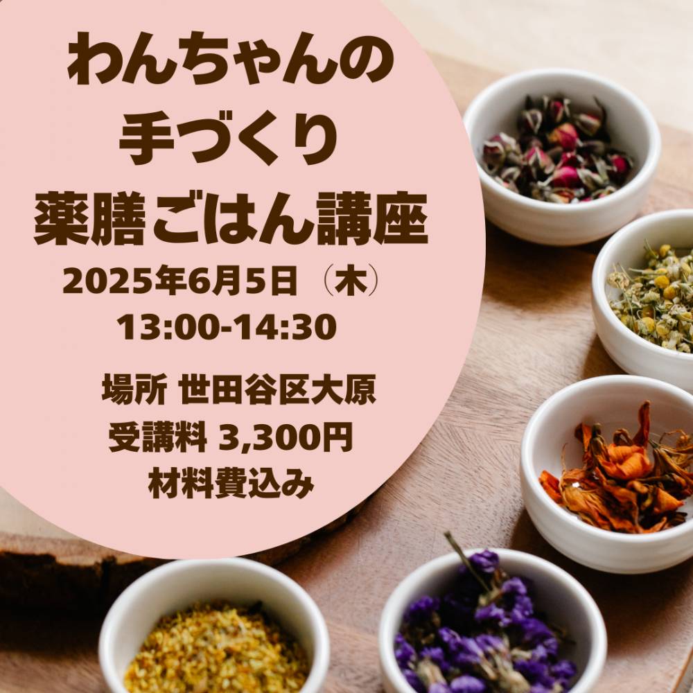 <img class='new_mark_img1' src='https://img.shop-pro.jp/img/new/icons43.gif' style='border:none;display:inline;margin:0px;padding:0px;width:auto;' />65ڡ˳š߱ڤμŤϤֺ¡