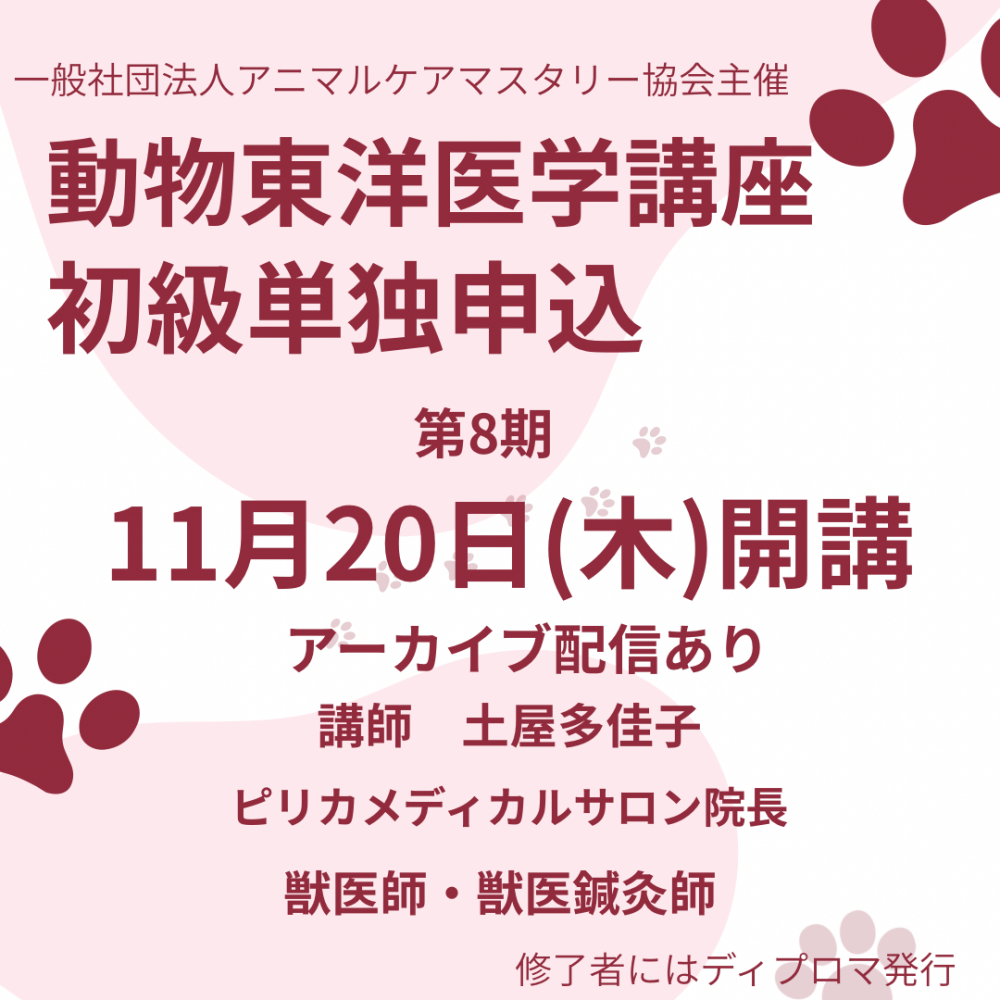 1120֡ưʪΰعֺ ñȿۥ˥ޥ륱ޥ꡼