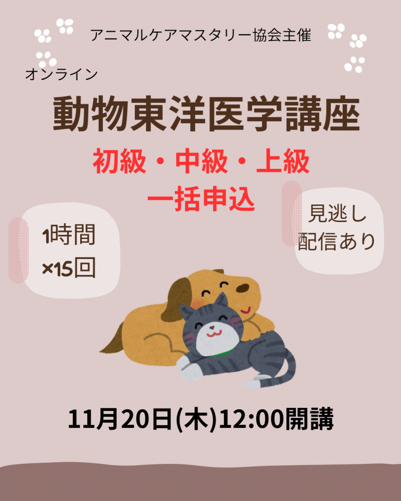 ưʪΰعֺ 顦顦翽ۥ˥ޥ륱ޥ꡼