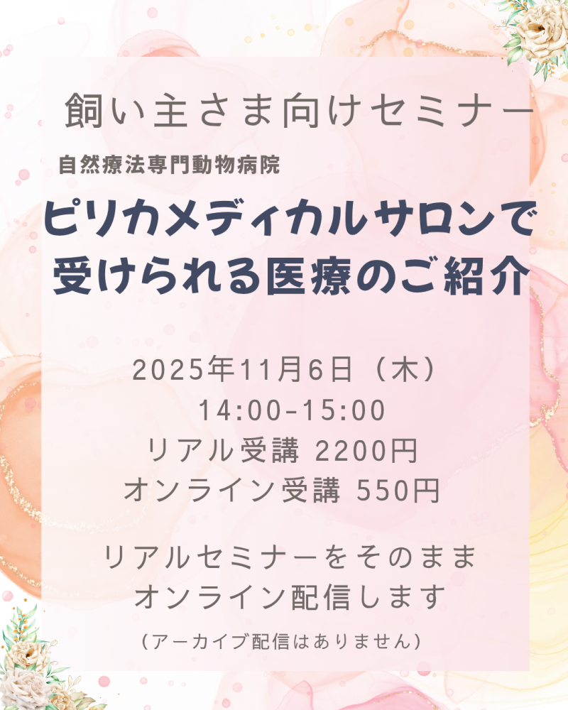 ڹɾΤ˽λ2025ǯ116()ܱťߥʡԥꥫǥ륵μˡΤҲ