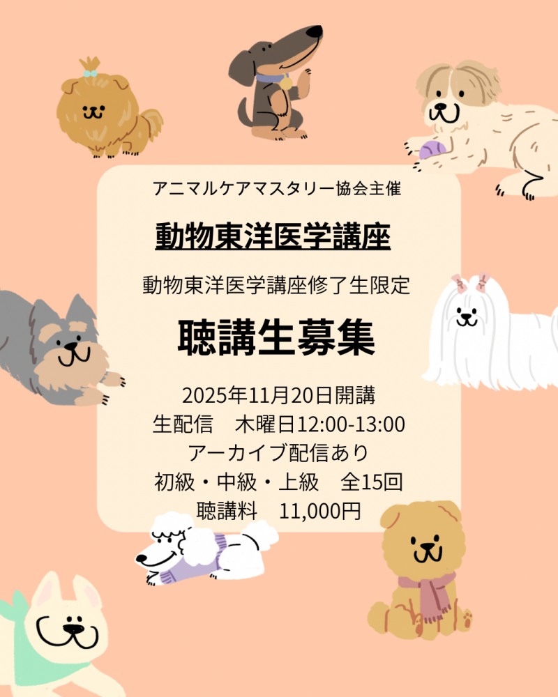 2025ǯ1120֡ưʪΰعֺ  İ罸ۥ˥ޥ륱ޥ꡼