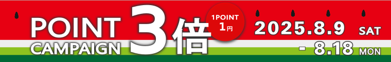 2025夏季ポイント3倍