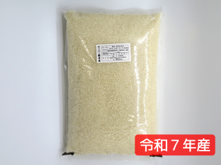 【お得！】BL研究所 不思議シート (大) 約40cm角 お得！】BL研究所 不思議シート (大) 約40cm角