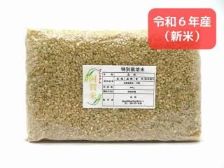 <img class='new_mark_img1' src='https://img.shop-pro.jp/img/new/icons29.gif' style='border:none;display:inline;margin:0px;padding:0px;width:auto;' />ơʤޤ 840g(6)