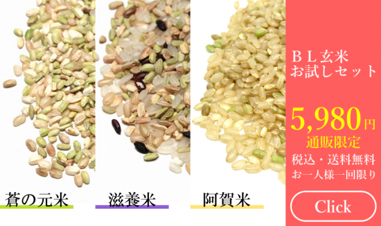 Blオリジナル玄米お試しセット Bl研究所 オンラインショップ