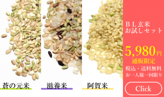 BL研究所 オンラインショップ