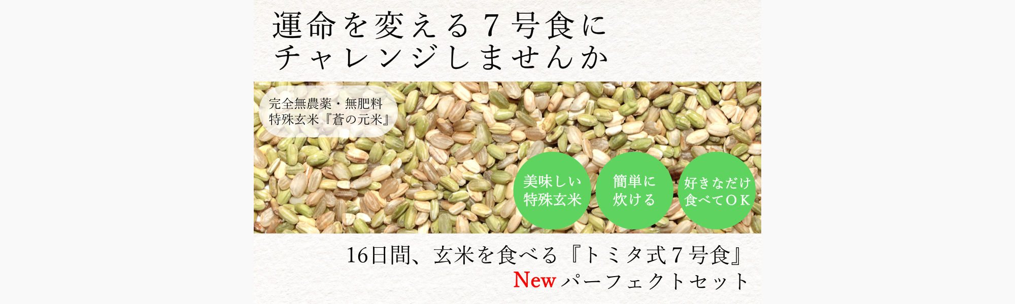 Bl研究所オンラインショップ Bl研究所オンラインショップ