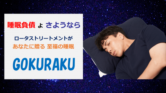 至福の睡眠ピローパッド 「GOKURAKU」
