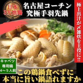 名古屋コーチン鶏鍋セット超お得　 日本３大地鶏　究極の鶏鍋 4〜5人前