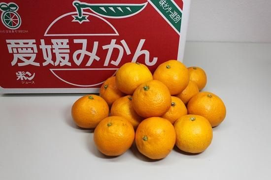 愛媛県産　石地みかん　南柑20号みかん半々セット+まぁどんな 箱込み約7kg