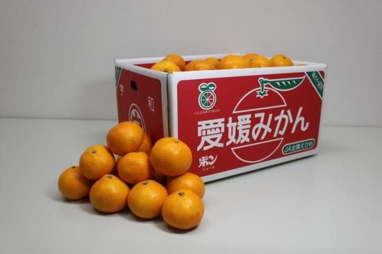 販売終了】南柑20号10kg(玉津みかん) - 愛媛県産玉津 販売終了】南柑20号10kg(玉津みかん) - 愛媛県産玉津