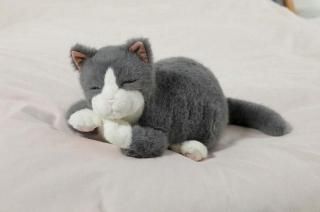 ڤϤԤۥڥåȷޤ Relapy(֥ƥå奷硼ȥإ)