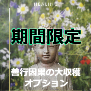 善行因果の大収穫!【限定販売】ヴァンタニのヒーリングのオプション